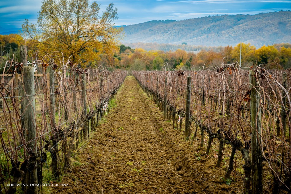 Tenuta-Licinia-5-1024x683.jpeg